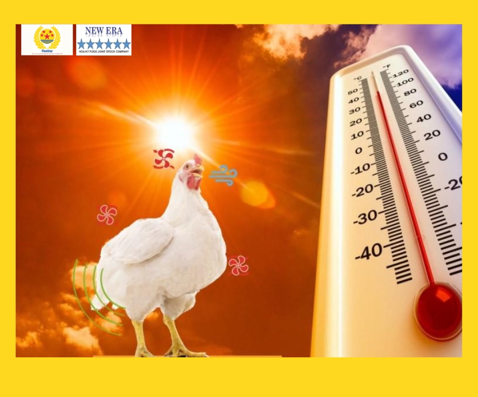  Lực cản trong chăn nuôi và xuất khẩu